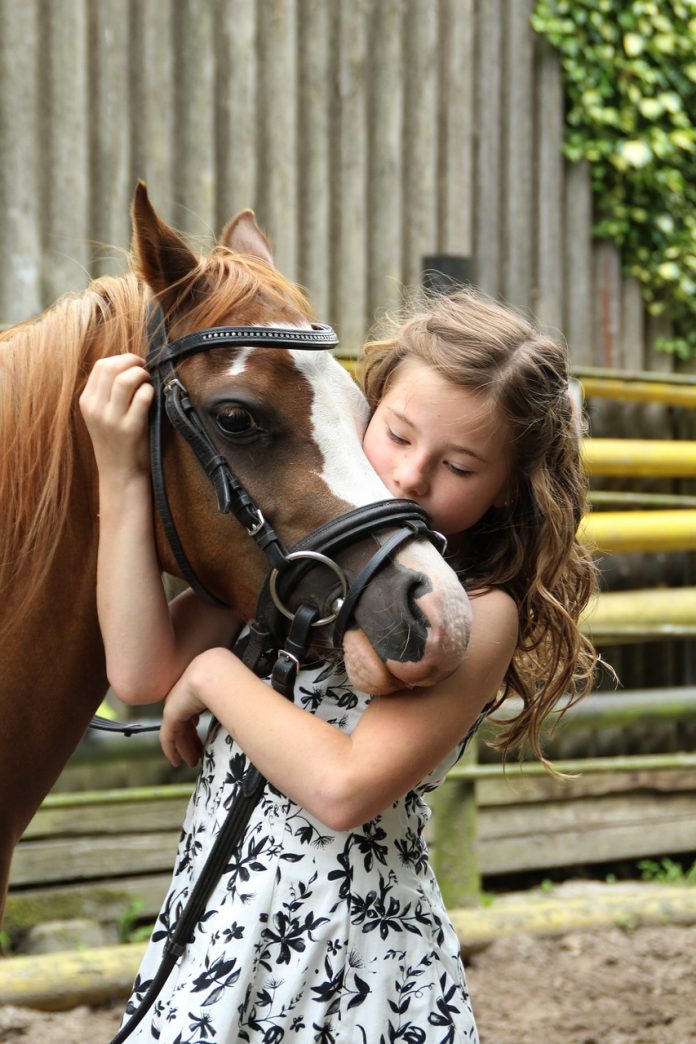 pony-dressage