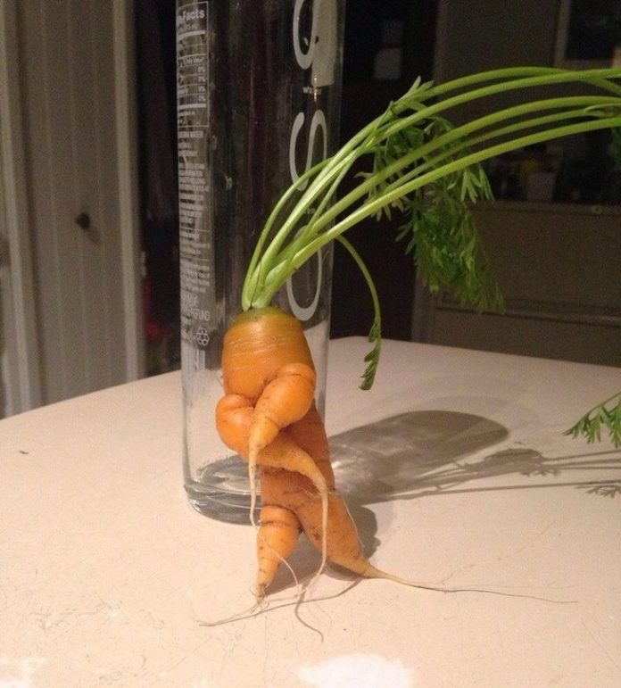 photo-bizarre