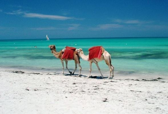 djerba-tunisie-plage-de-vacances-et-retraite