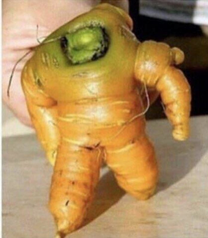 photos-droles-terminator-creature-legume