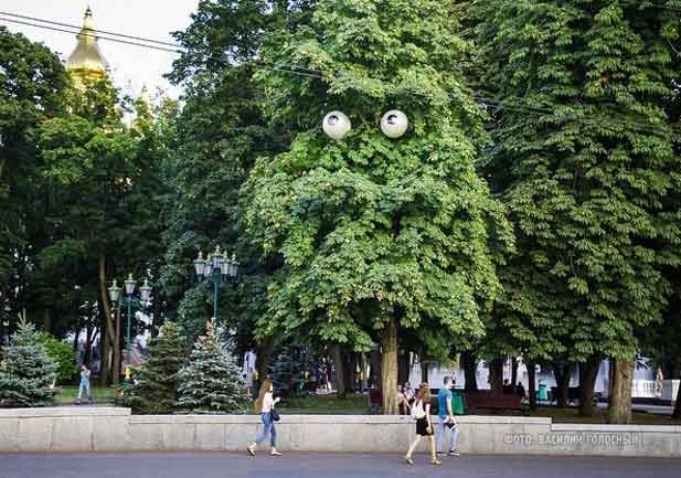 photos-bizarre-arbre