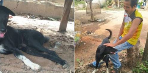 le-chien-legendaire-et-son-maitre