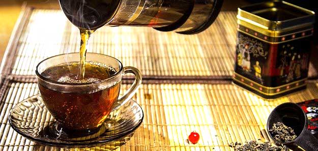 the-vert-un-antioxidant